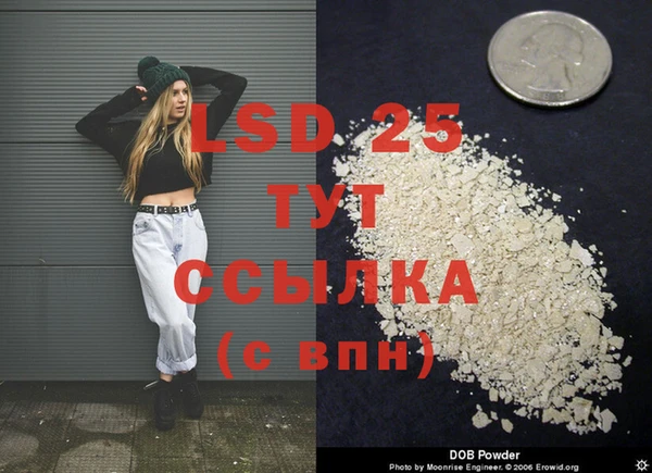 эйфоретик Белокуриха